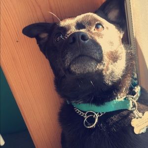 Meet your Posher, Jaden